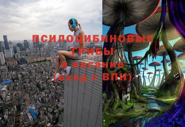ALPHA-PVP Пестово