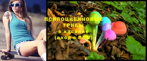 MESCALINE Покачи
