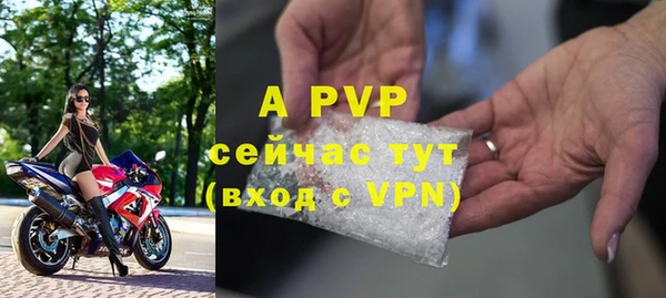 спайс Пересвет
