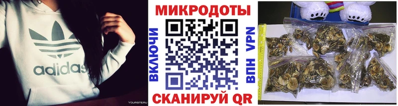 Псилоцибиновые грибы MAGIC MUSHROOMS  купить наркотик  shop как зайти  Симферополь 