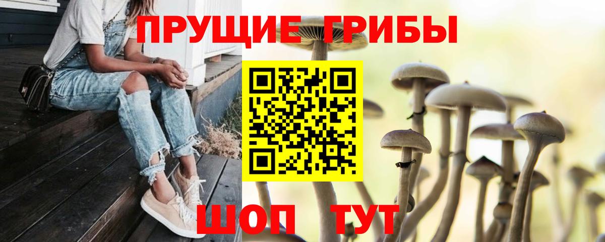 Галлюциногенные грибы мицелий Симферополь