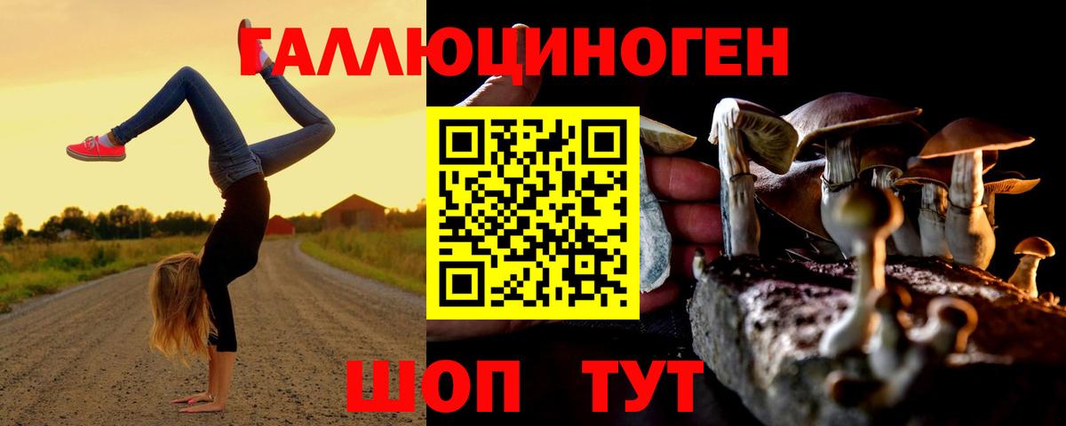 Галлюциногенные грибы Psilocybine cubensis  Вход с VPN  Симферополь 